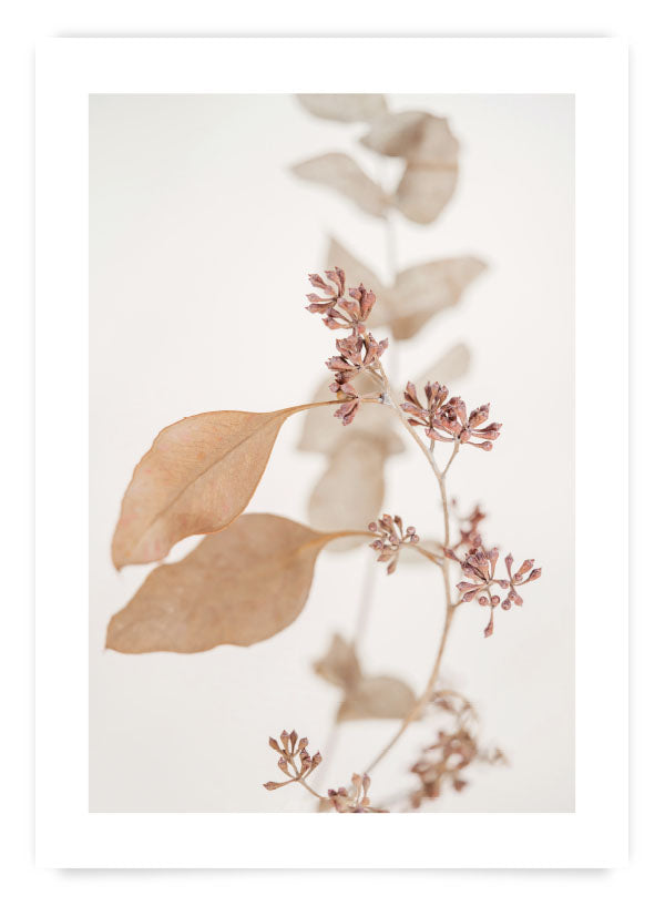 Set 2 postere 50x70cm | Set B