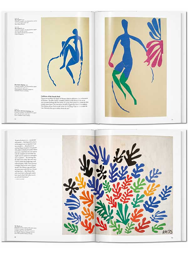 Matisse (cut-outs) │ Carte Artă