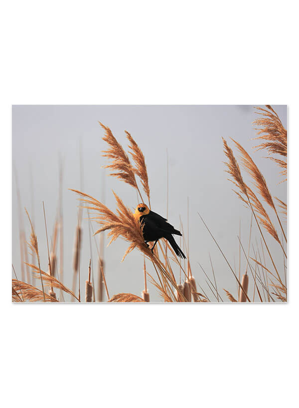 Set 3 postere 30x40cm | Set A