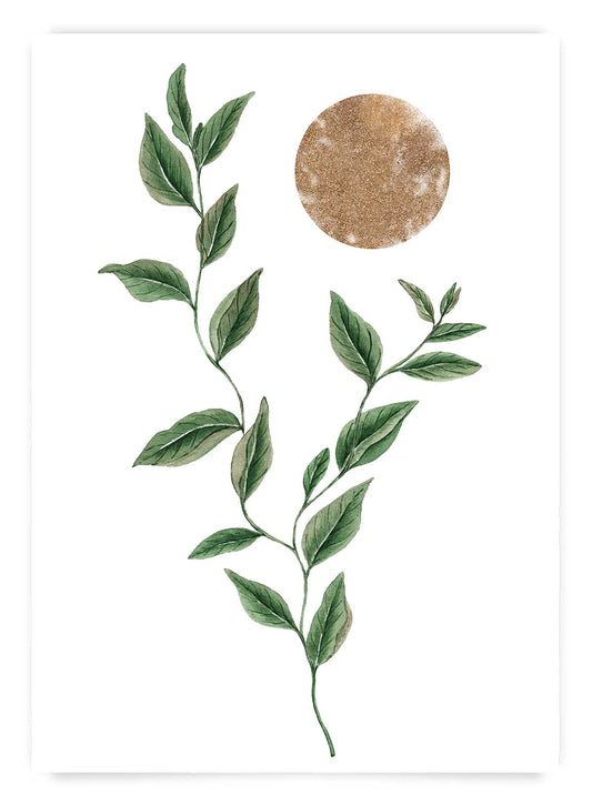 Watercolor botanical no4 | Poster