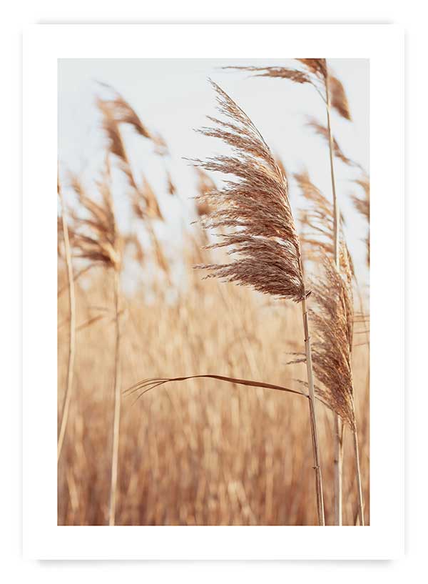 Set 2 postere 40x50cm | Set F