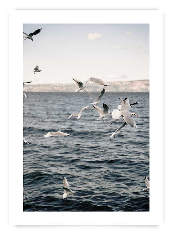 Set 2 postere 40x50cm | Set F