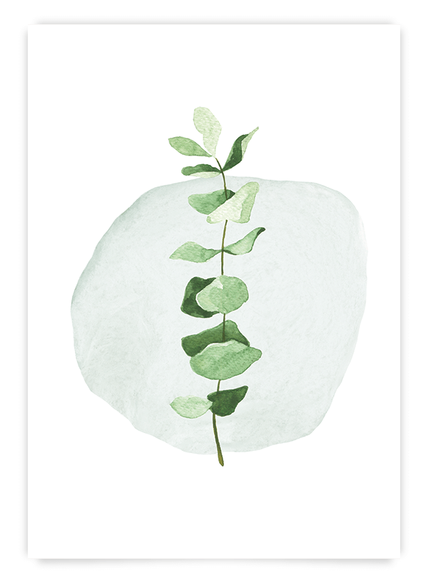 Eucalyptus | Art Print