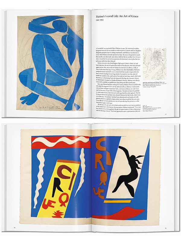 Matisse │ Carte Artă