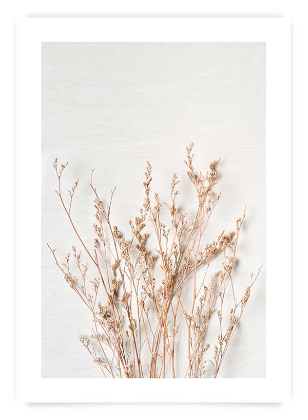 Dried stems | Poster