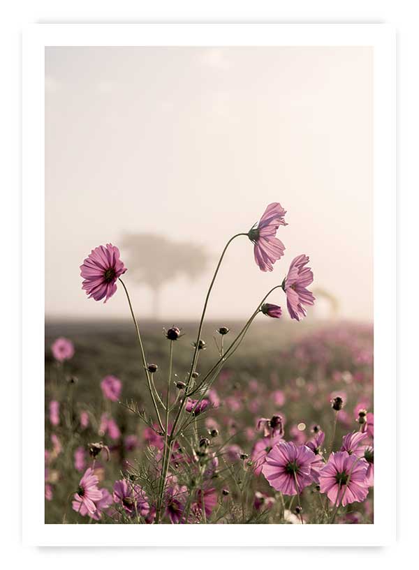 Flori de primăvară | Poster