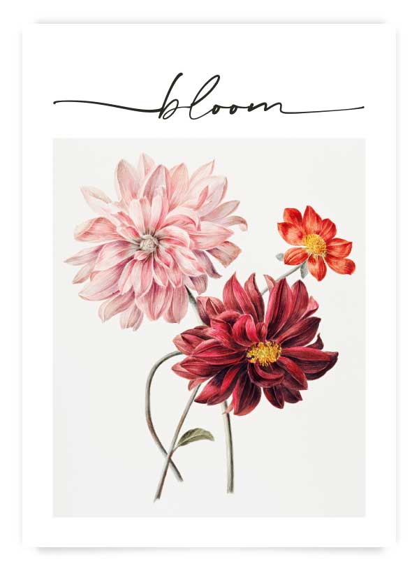 Bloom 3 | Poster