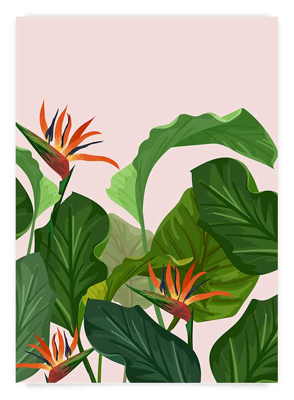 Jungle 3 | Poster