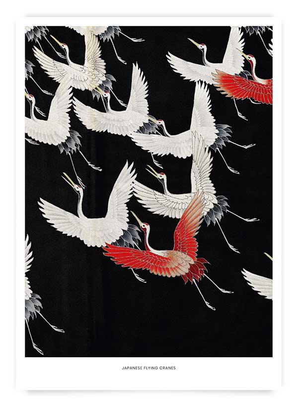 Japanese Cranes | Poster