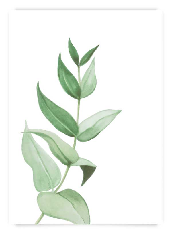 Green plant 6 | Poster