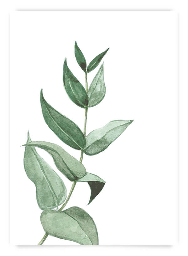 Green plant 6 | Poster