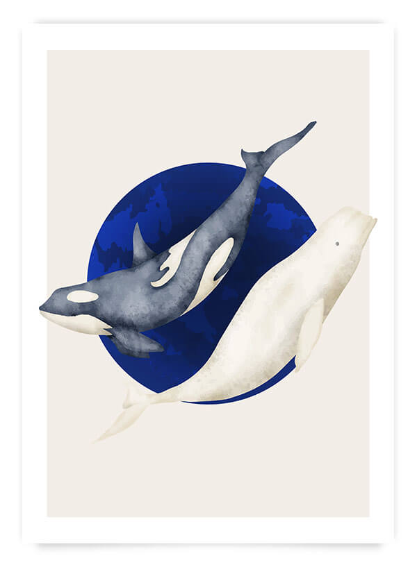 Cute whales | Poster