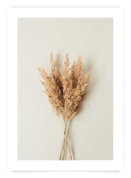 Beige herbs | Poster