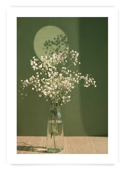 Gypsophila in a vase | Poster