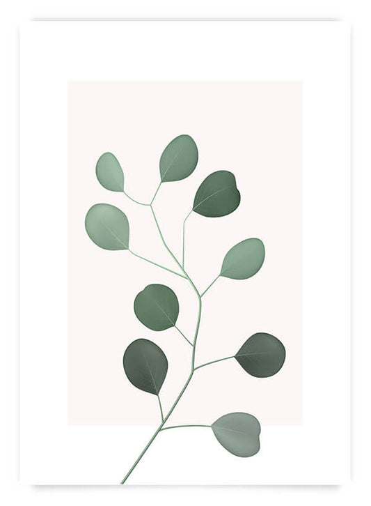 Botanicals no2 | Poster