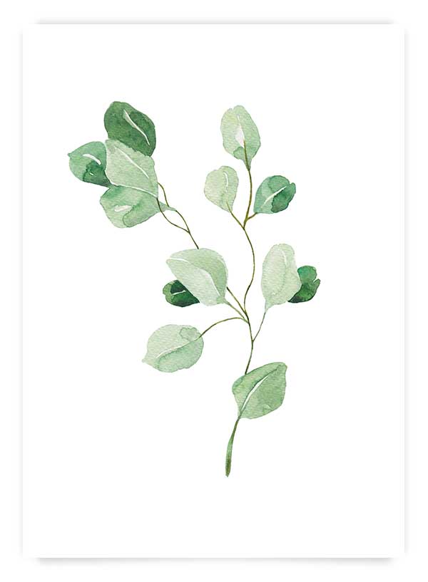 Eucalyptus branch | Art Print
