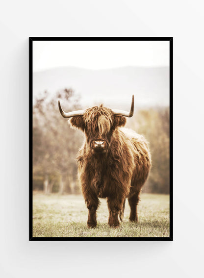 Rustic room | Set Postere