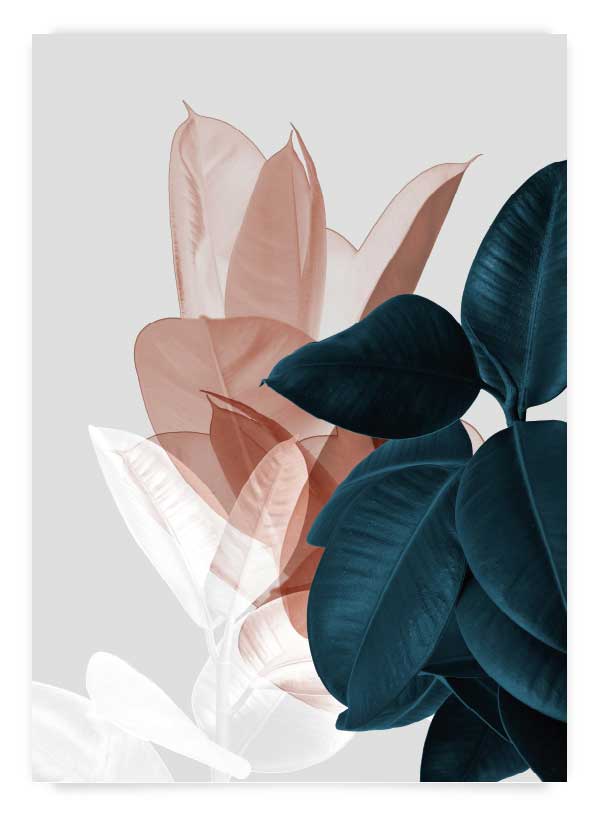 Plante exotice 1 | Poster