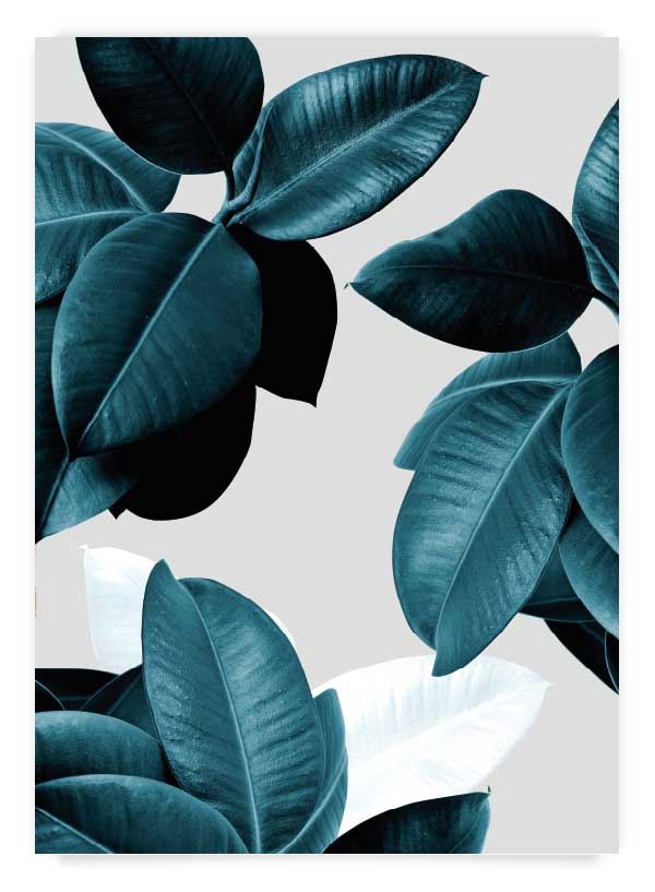 Plante exotice 2 | Poster