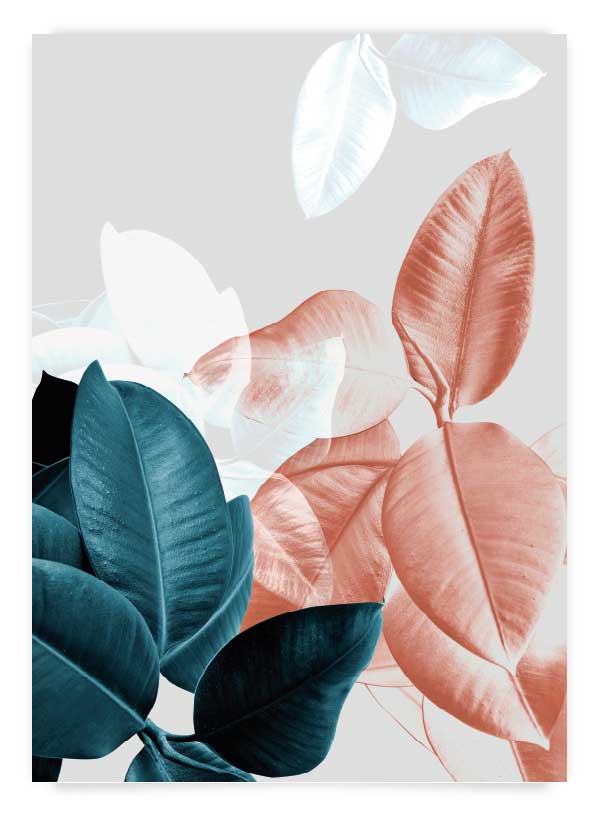 Plante exotice 3 | Poster