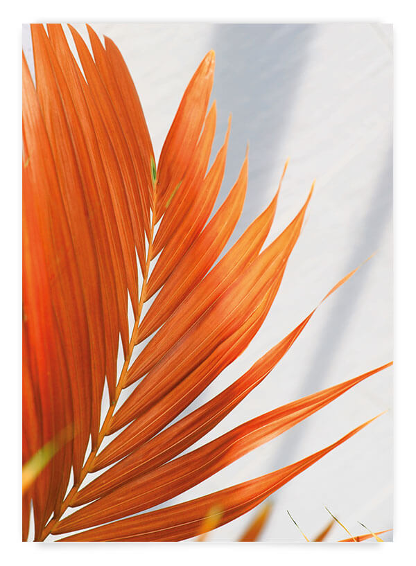 Autumn palm | Poster
