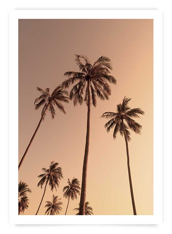 Autumn palms | Art Print
