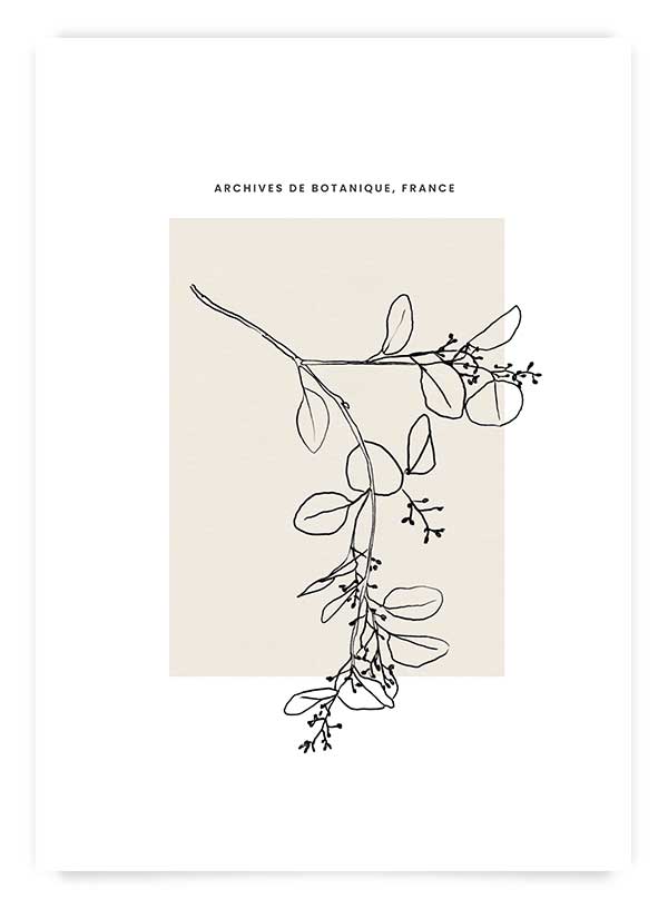 Archives de botanique 1 | Poster
