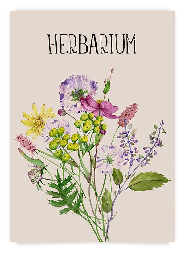 Herbarium | Poster