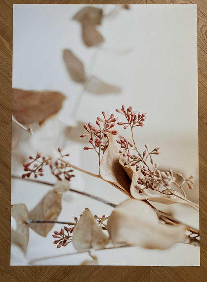 Poster 50x70cm diverse modele | OUTLET