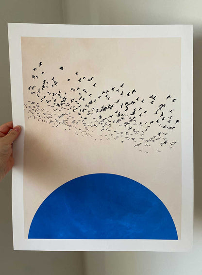 Poster 40x50cm diverse modele | OUTLET
