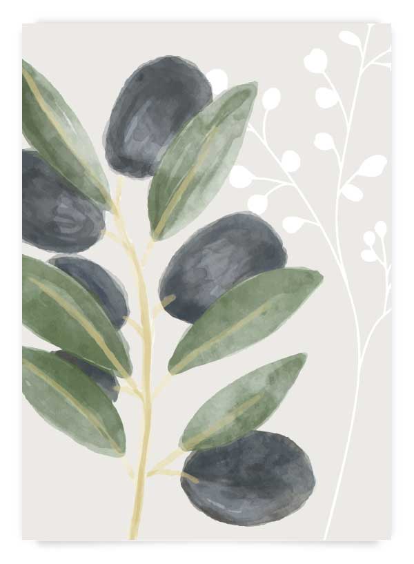 Olive branch 1 | Poster