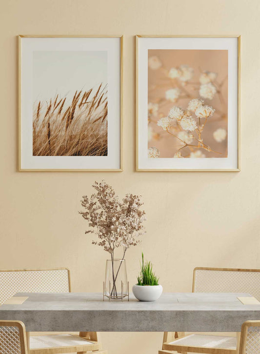 Set 2 postere 40x50cm | Set F