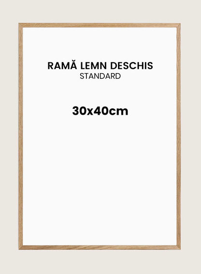 Rama lemn Nisa 30x40cm