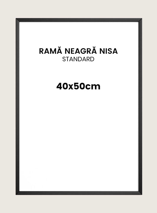 Rama neagra Nisa 40x50cm