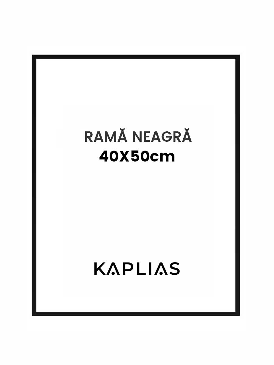 Rama neagra Nisa 40x50cm