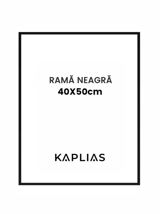 Rama neagra Nisa 40x50cm