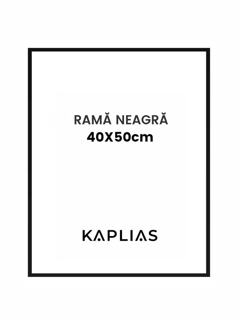Rama neagra Nisa 40x50cm