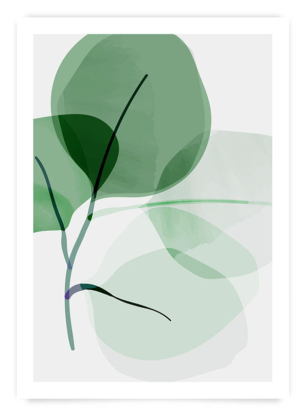 Maxi plant | Poster