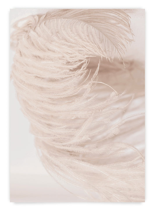 Organic Feather | Poster