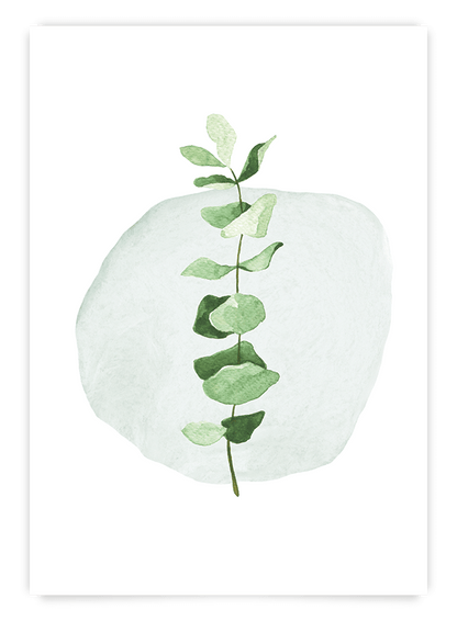 Eucalyptus | Art Print