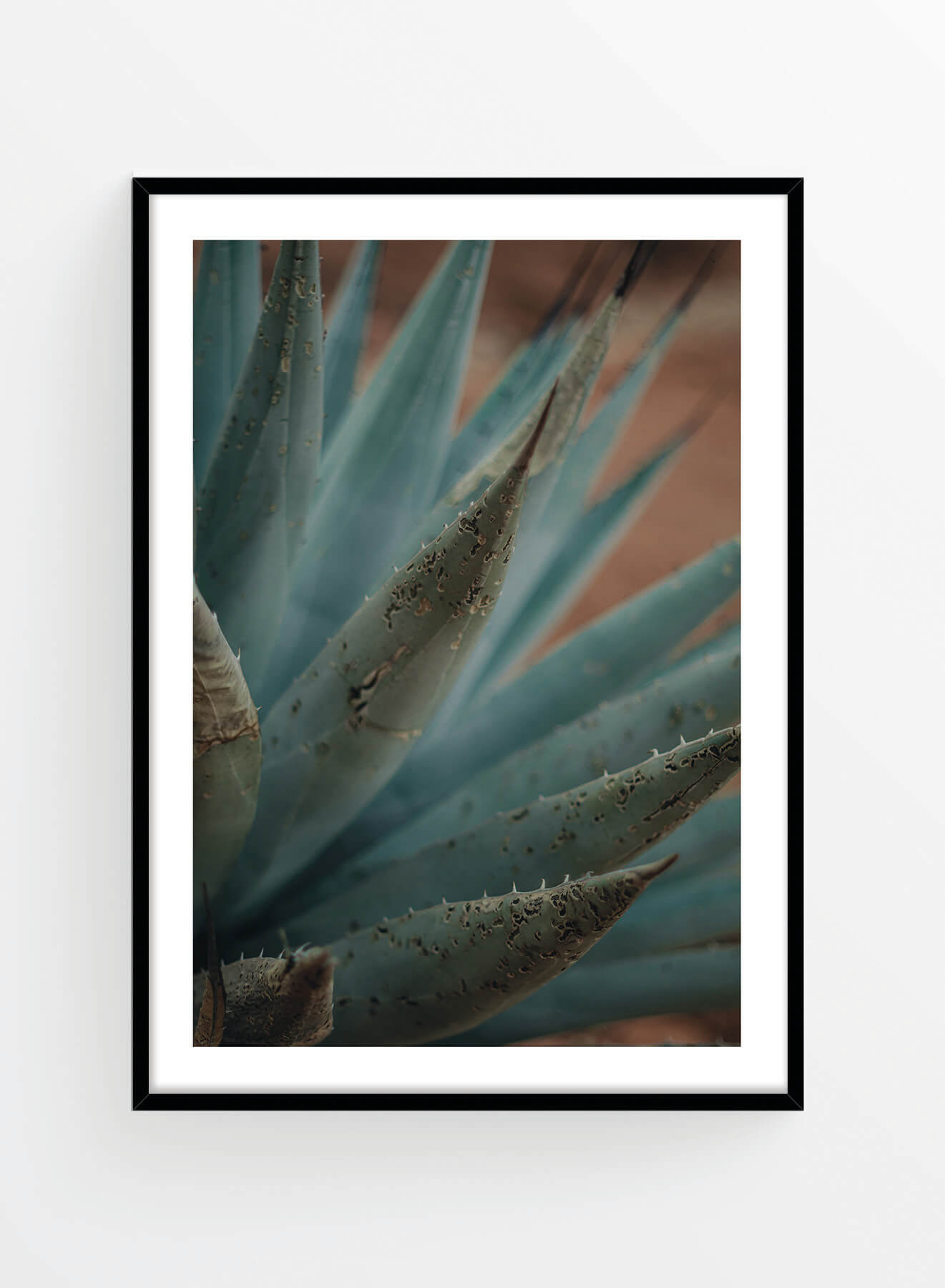 Aloe Vera I Art Print