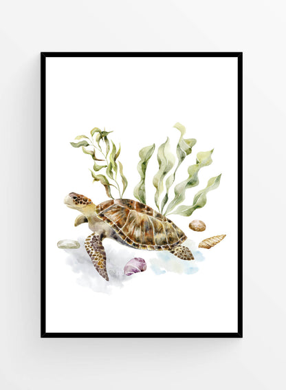 Broscuta testoasa | Art print