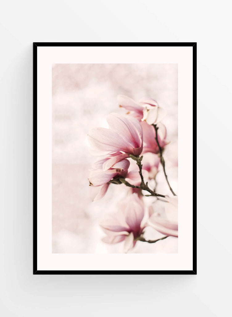 Magnolia | Poster 30x40cm