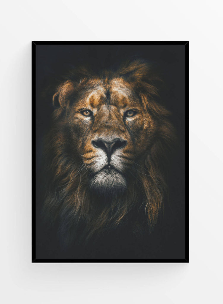 Lion | Poster