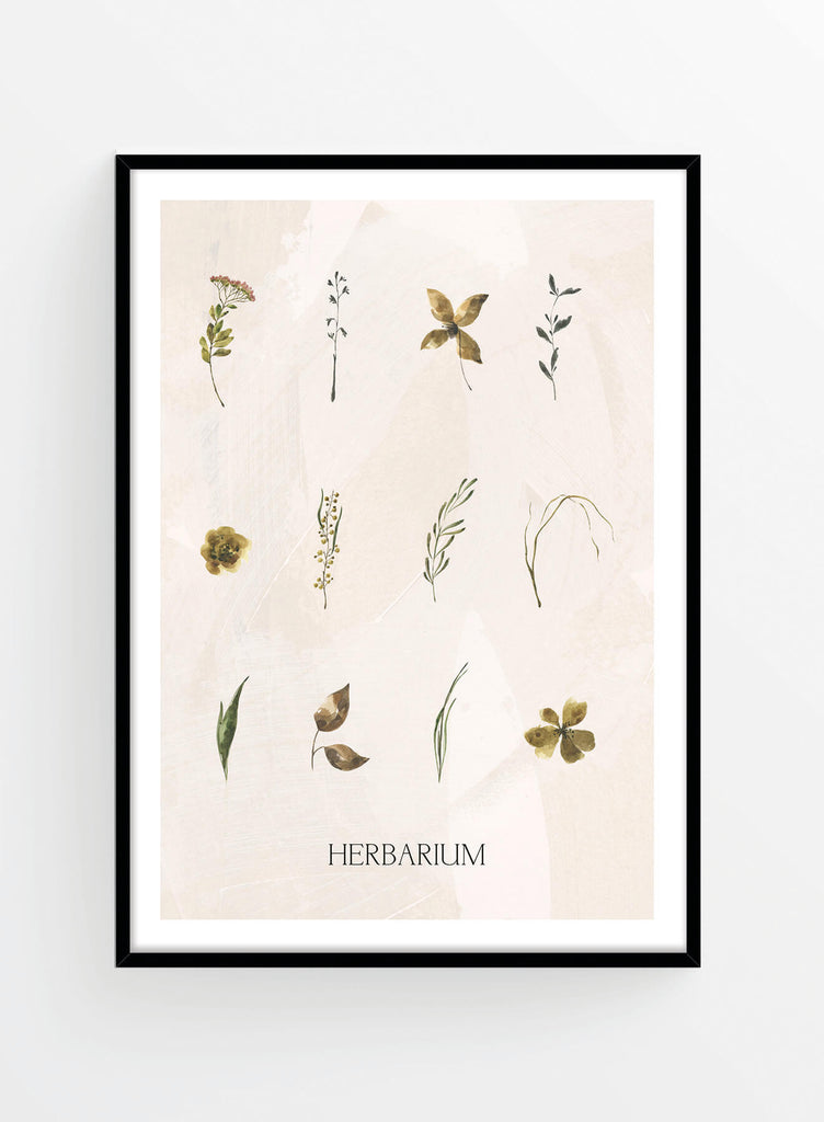 Herbarium | Poster