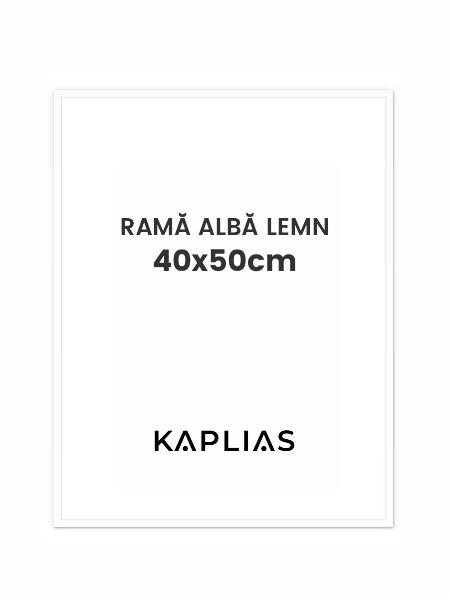 Rama alba Stockholm 40x50cm