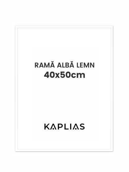 Rama alba Stockholm 40x50cm