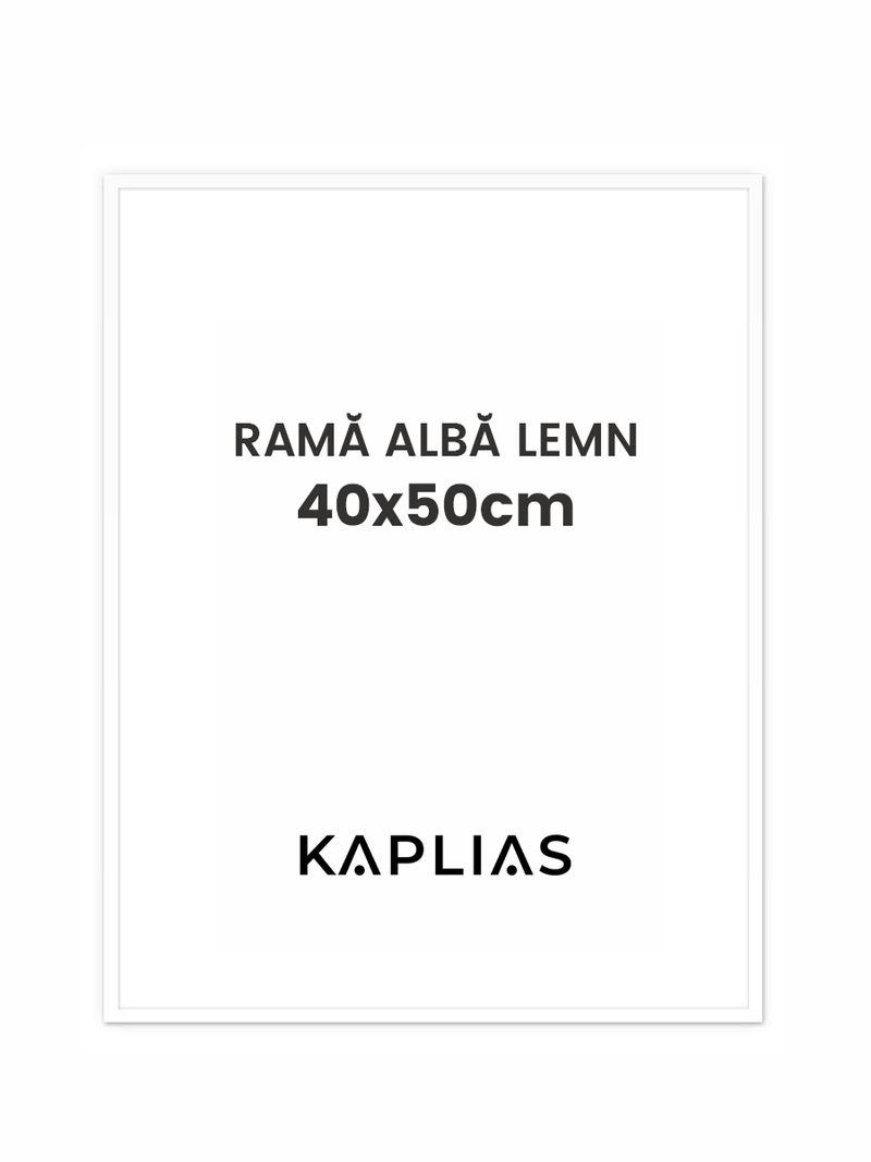 Rama alba Stockholm 40x50cm