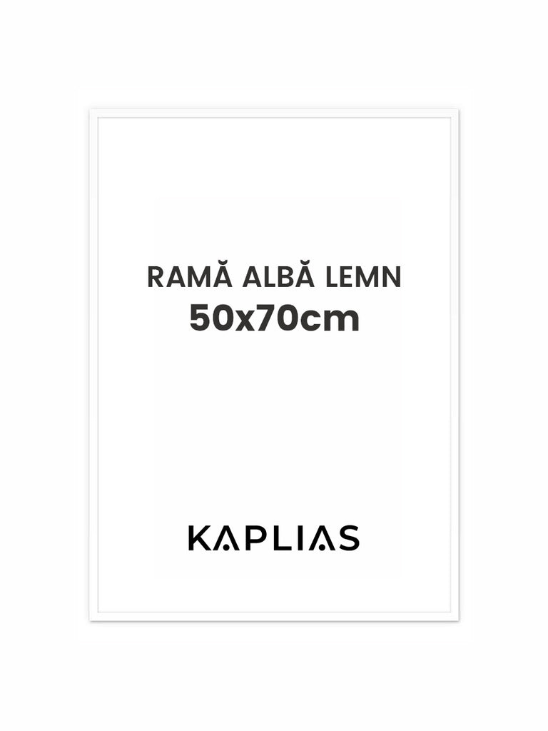 Rama alba Stockholm 50x70cm