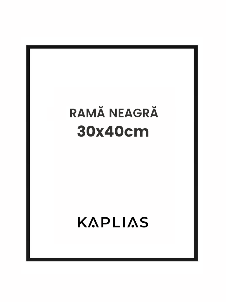 Rama neagra Nisa 30x40cm